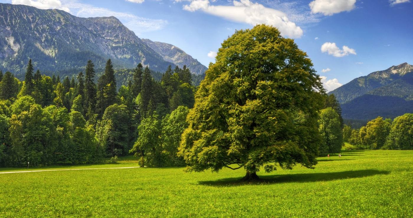 NATURlich schön- WAHRE MEISTERWERKE